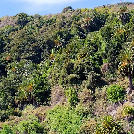 Villa Casa El águila The Hedonist - Es-279-1 *