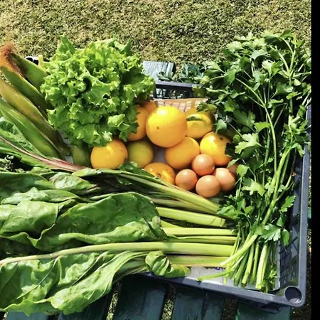 Casa El águila The Hedonist - Es-279-1 *